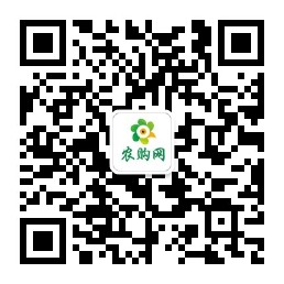 河南农播网络科技有限公司